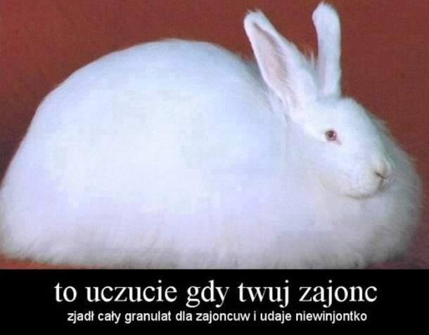 virtual_1409059214__10565279_58159848195