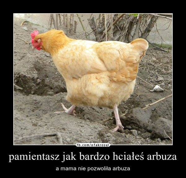 virtual_1409060671__15668_59529762391614