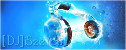 virtual_1470998342__sygna_djiseeyou1.png