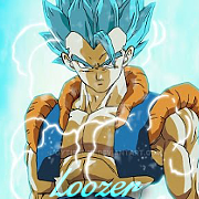 virtual_1478102891__lozer_avek.png